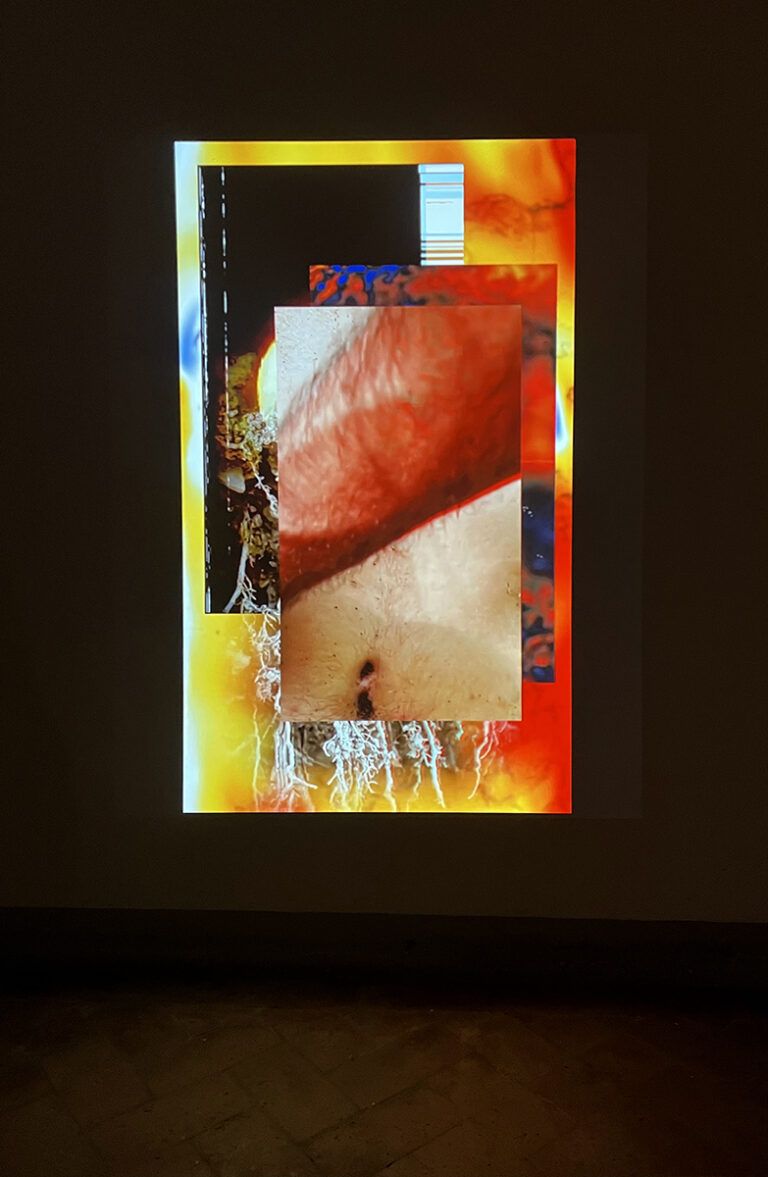 Film still that "consist[s] of layered video projections, metaphorically depicting the state of being together with nature and the human body." - Lionel Cruet. This includes hands being held underwater and videos of nature.