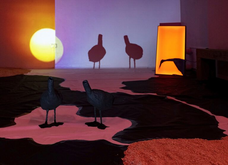 The exhibition includes a series of six drawings made up of silhouettes of coastal animals that have been mutilated.