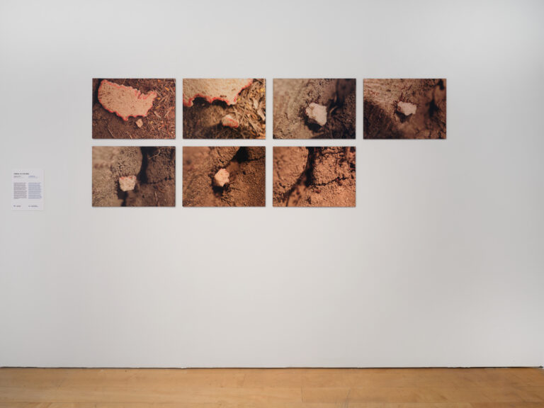 Ida y Vuelta installation view, 2023, photo credit: Argenis Apolinario.