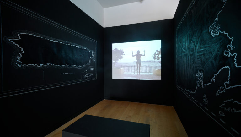 Ida y Vuelta installation view, 2023, photo credit: Argenis Apolinario.