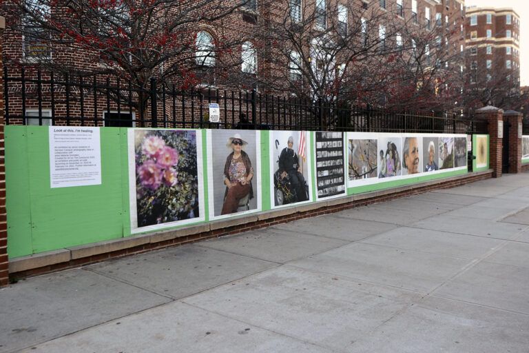 Photo walk at Serviam Gardens 198th St and Bainbridge. Featuring Rose of Hope, Rose of Hope dyptych by Melanie Gonzalez, 2020. 40+ photographs by Serviam Seniors