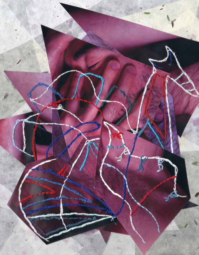 David Arroyo. The Quiet Puerto Rican 3, 2024. Digital Photography Collage with Handmade Embroidery on canvas panel, 11 x 14 inches. Photograph documentation by David Arroyo.