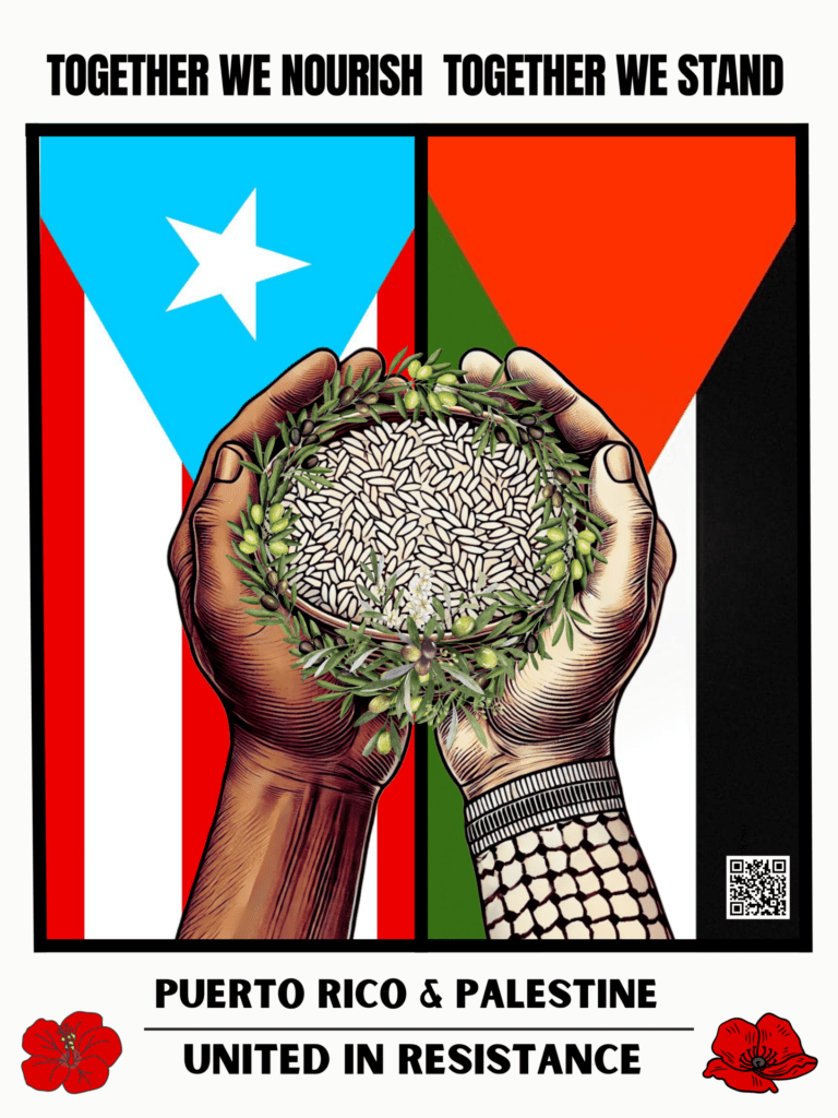 "Together we nourish, together we stand. Puerto Rico & Palestine, United in Resistance." Two hands, one Puerto Rican, one Palestinian, share a handful of rice. The background shows the Puerto Rican and Palestinian flags vertically.
