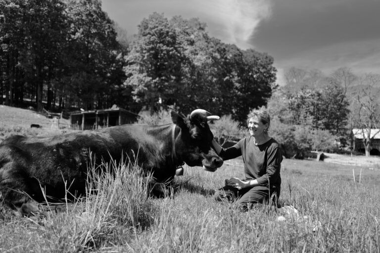 A woman sitting in the grass petting a large cow.
