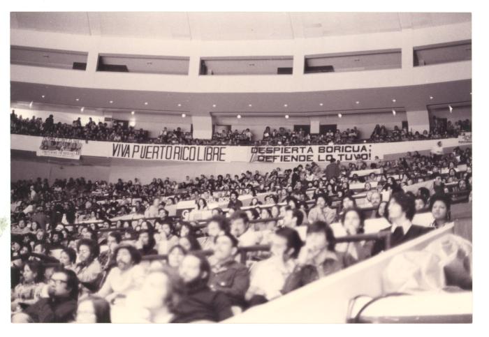 Aquí y allá: Puerto Ricans, Puerto Rico, and the 2024 Elections