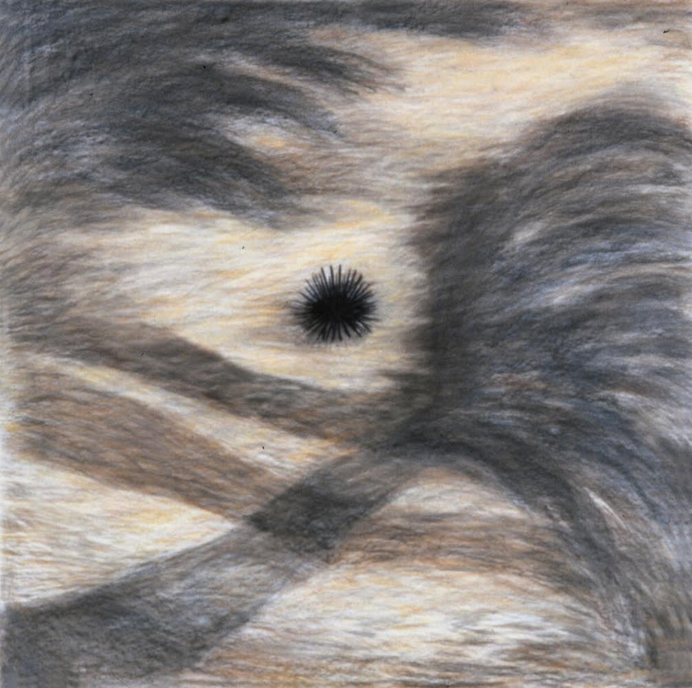 A little sea urchin sitting in soft sand.