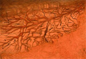 Orange drawing of roots taking hold of the bright ground.