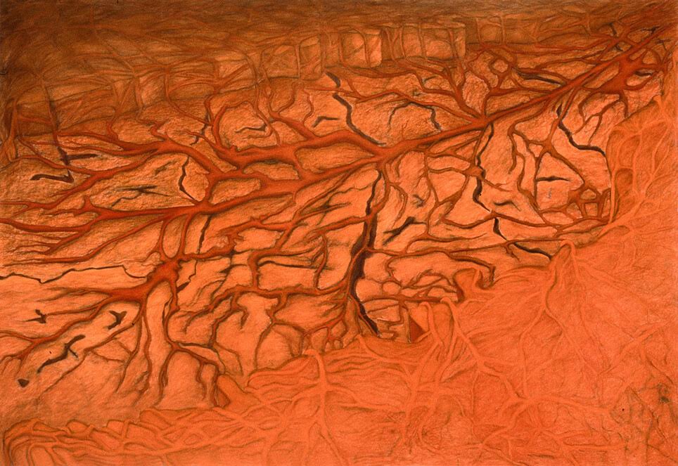 Orange drawing of roots taking hold of the bright ground.
