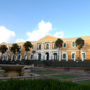 Culture Under Siege: Policing Culture