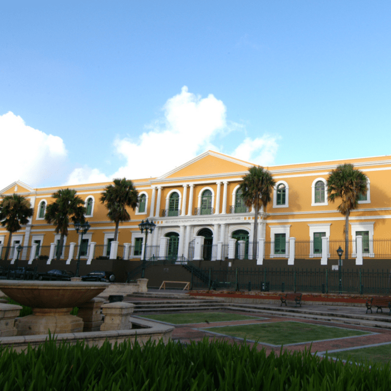 Culture Under Siege: Policing Culture