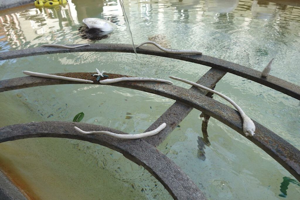 Ceramic sculptures in the shape of natural objects.