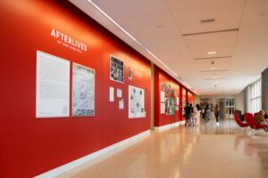 Afterlives of San Juan Hill